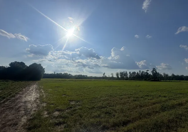 Photo 1 of Sale Pending at Highway 19, Nichols, SC 29581 | MLS# 2621681 | Listing updated on 2026-09-09