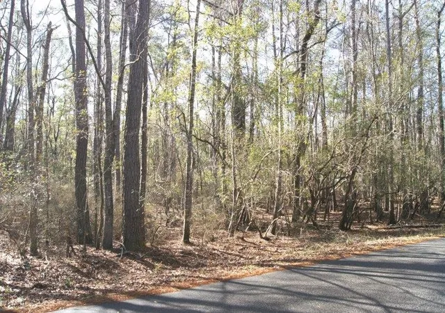 Land for sale at Lot 25 Crow Hl Dr, Georgetown, SC 29440 | MLS# 2621688