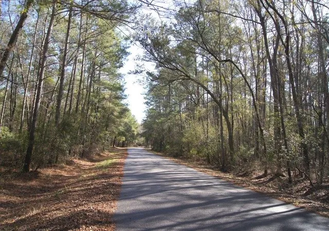 Photo 2 of Land for sale at Lot 25 Crow Hl Dr, Georgetown, SC 29440 | MLS# 2621688 | Listing updated on 2026-09-02