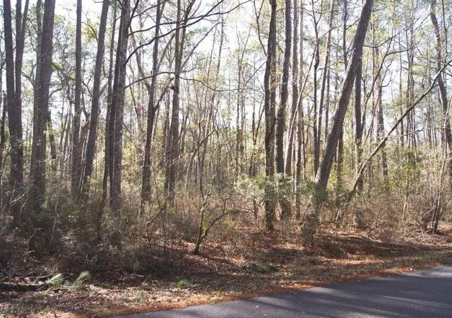 Land for sale at Lot 26 Crow Hl Dr, Georgetown, SC 29440 | MLS# 2621689