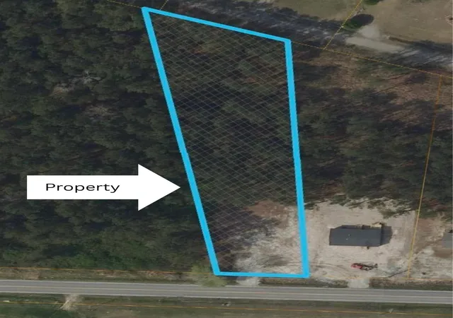 Land for sale at 3673 Nichols Hwy, Galivants Ferry, SC 29544 | MLS# 2621726