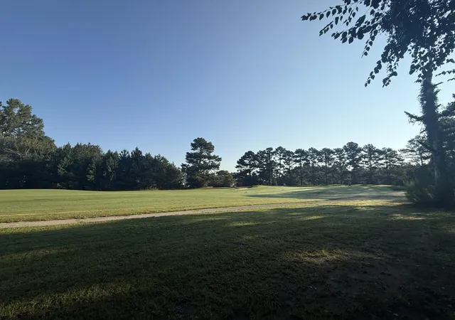 Land for sale at 359 Cedar Grv Church Rd, Johnsonville, SC 29555 | MLS# 2621857
