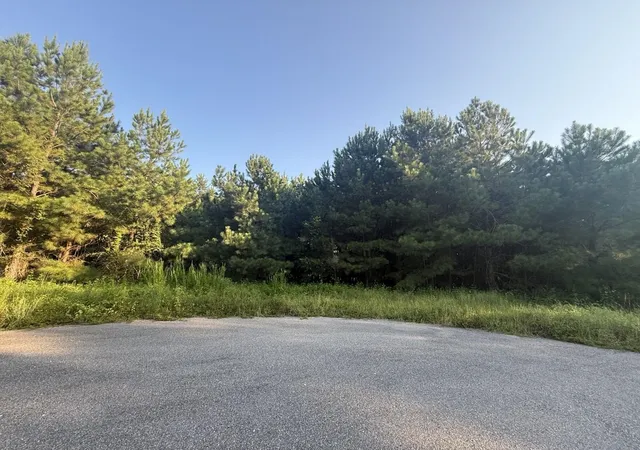 Photo 1 of Land for sale at 359 Cedar Grv Church Rd, Johnsonville, SC 29555 | MLS# 2621857 | Listing updated on 2026-09-03