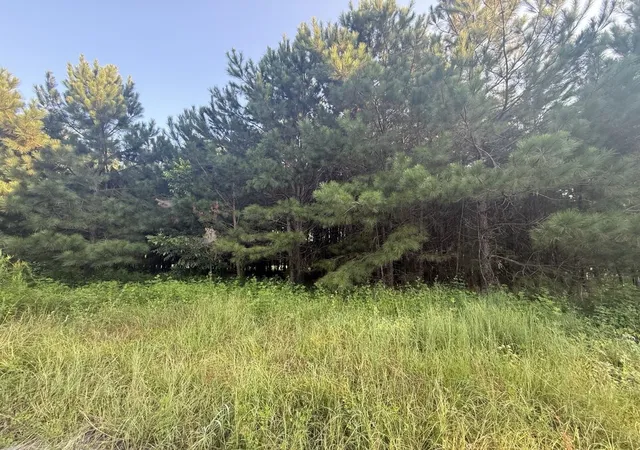 Photo 2 of Land for sale at 359 Cedar Grv Church Rd, Johnsonville, SC 29555 | MLS# 2621857 | Listing updated on 2026-09-03