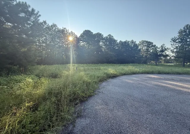 Photo 4 of Land for sale at 359 Cedar Grv Church Rd, Johnsonville, SC 29555 | MLS# 2621857 | Listing updated on 2026-09-03