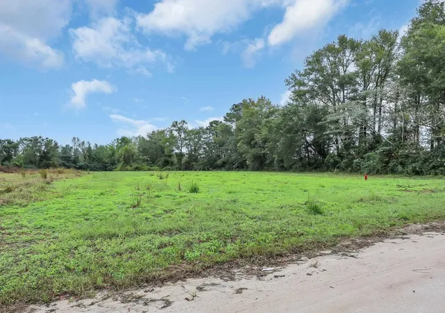 Photo 1 of Land for sale at Tbd Willow Grv Dr, Loris, SC 29569 | MLS# 2621889 | Listing updated on 2026-09-03