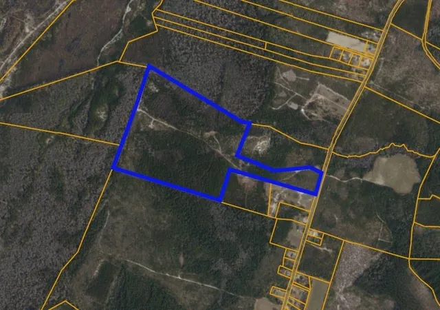 Photo 1 of Land for sale at Tbd N Nichols Hwy, Nichols, SC 29581 | MLS# 2622036 | Listing updated on 2026-09-05