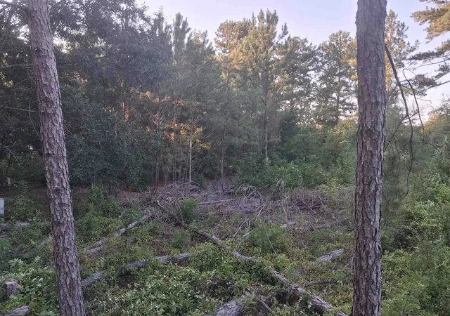 Photo 1 of Land for sale at Lot 12 D Mcgregor Cir, Lake City, SC 29560 | MLS# 2622069 | Listing updated on 2026-09-05