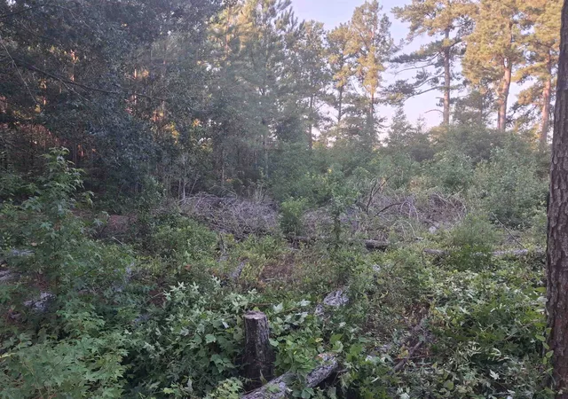 Photo 1 of Land for sale at Lot 11 D Mcgregor Cir, Lake City, SC 29560 | MLS# 2622072 | Listing updated on 2026-09-05