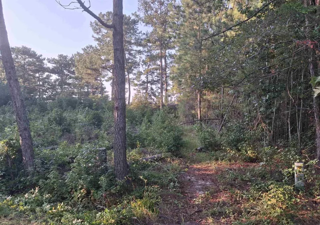 Photo 1 of Land for sale at Lot 10 D Mcgregor Cir, Lake City, SC 29560 | MLS# 2622075 | Listing updated on 2026-09-05