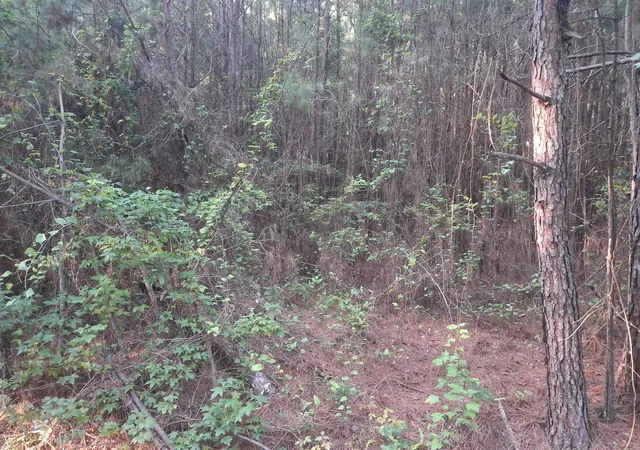 Photo 1 of Land for sale at Lot 5 D Mcgregor Cir, Lake City, SC 29560 | MLS# 2622077 | Listing updated on 2026-09-05