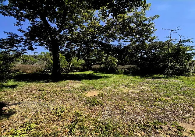 Photo 3 of Sale Pending at Tbd Watson Way, Pawleys Island, SC 29585 | MLS# 2622140 | Listing updated on 2026-09-14