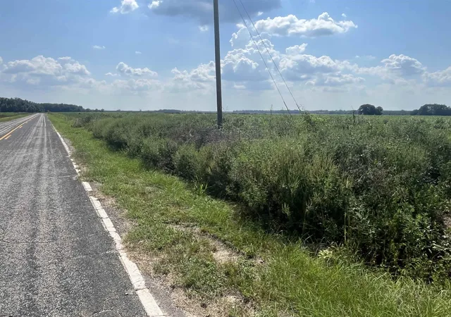 Photo 3 of Sale Pending at J Ben Rogers Rd, Bennettsville, SC 29512 | MLS# 2622159 | Listing updated on 2026-09-09