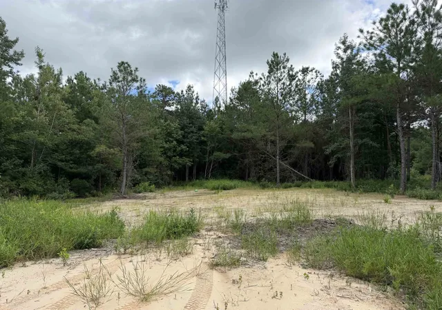 Photo 2 of Land for sale at 125 Acres - N Fraser St, Georgetown, SC 29440 | MLS# 2622193 | Listing updated on 2026-09-08