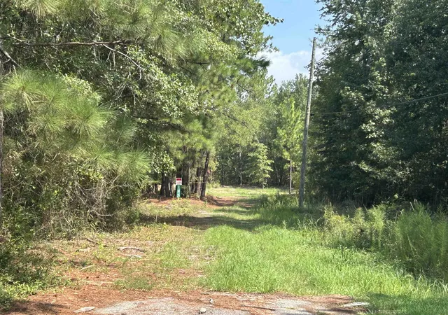 Photo 4 of Land for sale at 185 Legion St, Dillon, SC 29536 | MLS# 2622310 | Listing updated on 2026-09-10