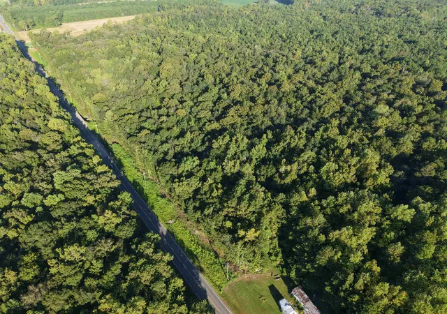 Photo 2 of Land for sale at Tbd Adrian Hwy, Loris, SC 29569 | MLS# 2622379 | Listing updated on 2026-09-11