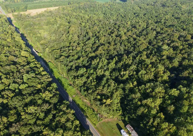 Photo 3 of Land for sale at Tbd Adrian Hwy, Loris, SC 29569 | MLS# 2622379 | Listing updated on 2026-09-11