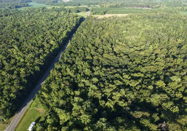 Photo 3 of Land for sale at Tbd Adrian Hwy, Loris, SC 29569 | MLS# 2622379 | Listing updated on 2026-09-11