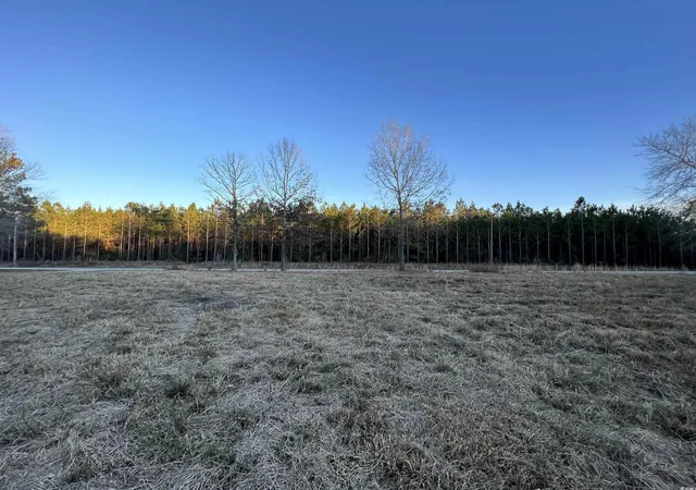 Photo 3 of Land for sale at 9207 County Line Rd, Nesmith, SC 29580 | MLS# 2622459 | Listing updated on 2026-09-12
