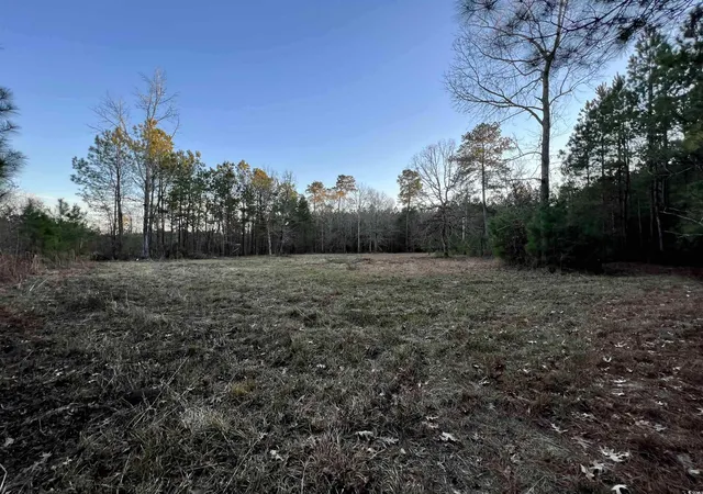 Photo 4 of Land for sale at 9207 County Line Rd, Nesmith, SC 29580 | MLS# 2622459 | Listing updated on 2026-09-12