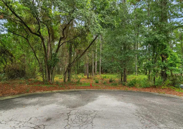 Photo 4 of Land for sale at 22 Vintage Ct, Pawleys Island, SC 29585 | MLS# 2622548 | Listing updated on 2026-09-14