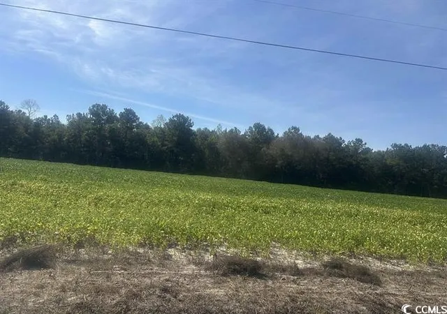 Photo 2 of Land for sale at Tansy Rd, Loris, SC 29569 | MLS# 2622565 | Listing updated on 2026-09-14