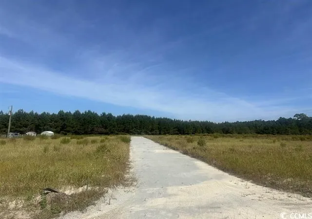 Photo 3 of Land for sale at Tansy Rd, Loris, SC 29569 | MLS# 2622565 | Listing updated on 2026-09-14