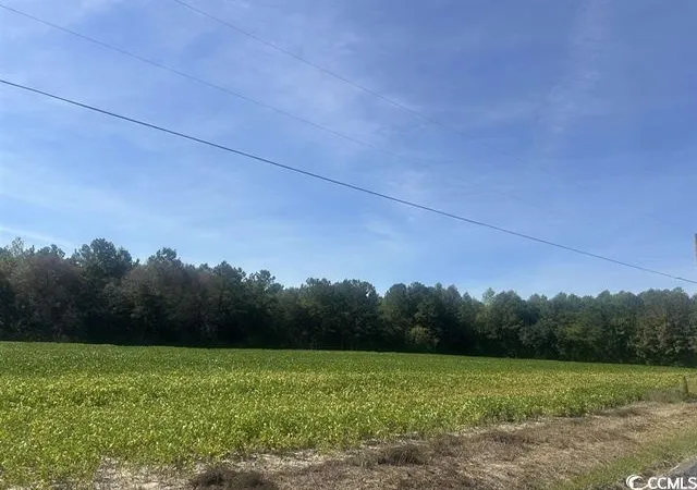 Photo 3 of Land for sale at Tansy Rd, Loris, SC 29569 | MLS# 2622565 | Listing updated on 2026-09-14