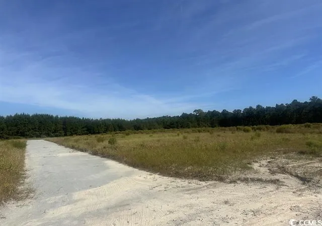 Photo 4 of Land for sale at Tansy Rd, Loris, SC 29569 | MLS# 2622565 | Listing updated on 2026-09-14
