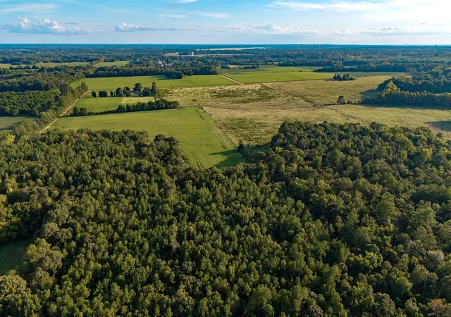 Photo 12 of Land for sale at Tbd Peach Orchard Rd, Rembert, SC 29128 | MLS# 2622657 | Listing updated on 2026-09-16