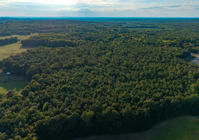 Photo 2 of Land for sale at Tbd Peach Orchard Rd, Rembert, SC 29128 | MLS# 2622657 | Listing updated on 2026-09-16