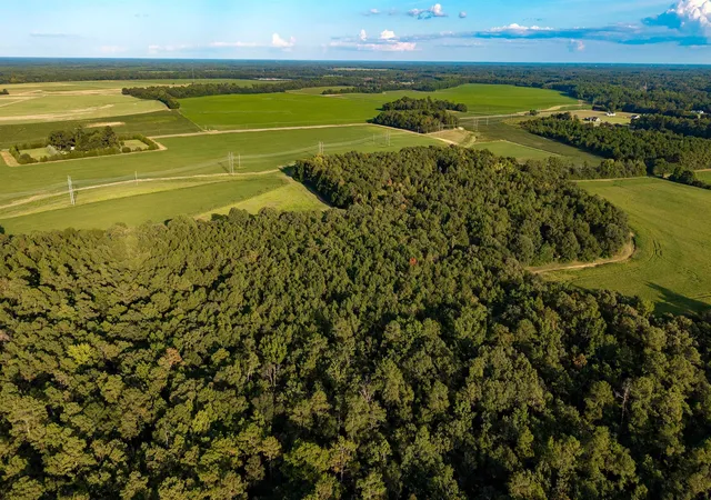 Photo 3 of Land for sale at Tbd Peach Orchard Rd, Rembert, SC 29128 | MLS# 2622657 | Listing updated on 2026-09-16