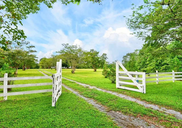 Photo 4 of Single family home for sale at 8812 Thurgood Marshall Hwy, Andrews, SC 29510 | MLS# 2622724 | Listing updated on 2026-09-16