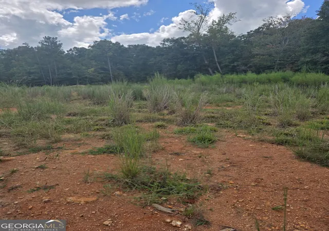 Land for sale at 888 Forrester Cemetery Rd, Covington, GA 30014 | MLS# 10842644