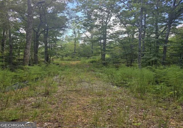 Photo 2 of Land for sale at 888 Forrester Cemetery Rd, Covington, GA 30014 | MLS# 10842644 | Listing updated on 2026-09-25