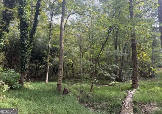 Photo 2 of Land for sale at 127 Ikes Cir #4, Ellijay, GA 30536 | MLS# 10872845 | Listing updated on 2026-10-28