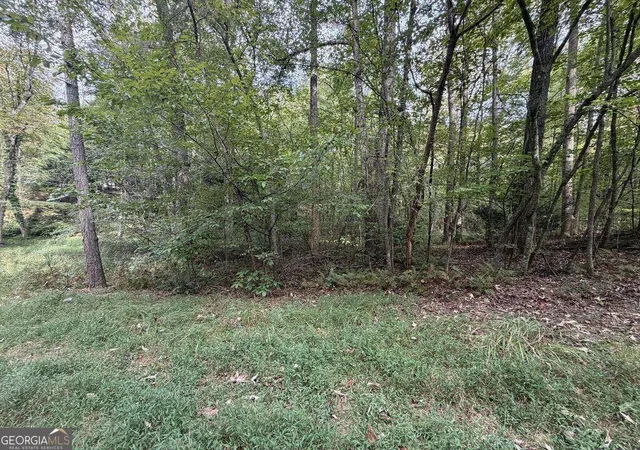Photo 4 of Land for sale at 127 Ikes Cir #4, Ellijay, GA 30536 | MLS# 10872845 | Listing updated on 2026-10-28