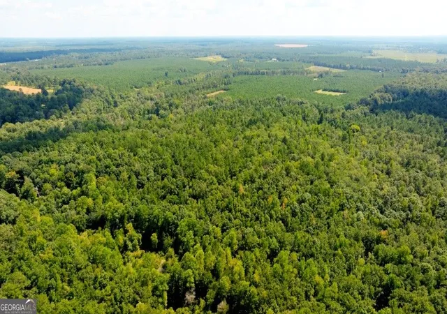 Photo 2 of Land for sale at 3480 Highway 56 N, Waynesboro, GA 30830 | MLS# 10841904 | Listing updated on 2026-09-22