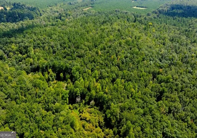 Photo 3 of Land for sale at 3480 Highway 56 N, Waynesboro, GA 30830 | MLS# 10841904 | Listing updated on 2026-09-22