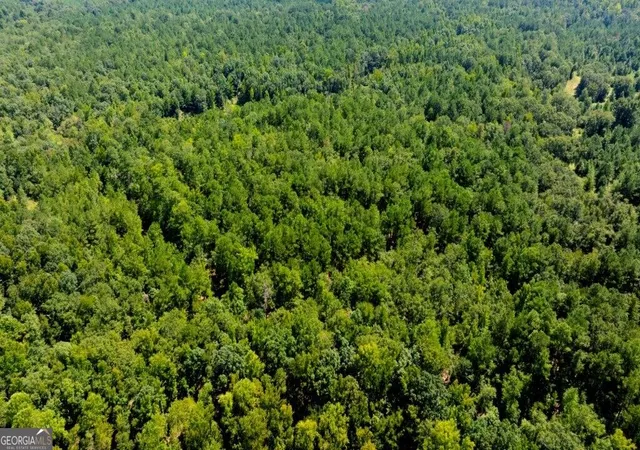 Photo 3 of Land for sale at 3480 Highway 56 N, Waynesboro, GA 30830 | MLS# 10841904 | Listing updated on 2026-09-22