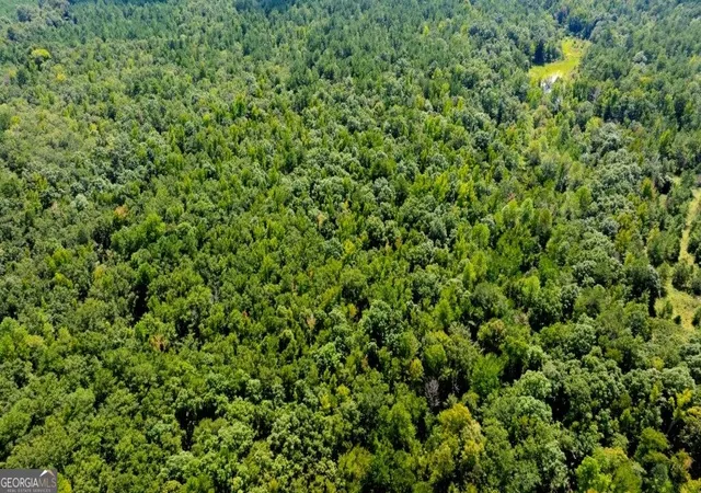 Photo 4 of Land for sale at 3480 Highway 56 N, Waynesboro, GA 30830 | MLS# 10841904 | Listing updated on 2026-09-22