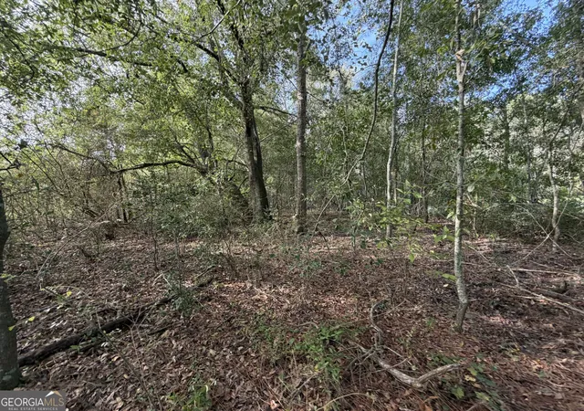 Photo 4 of House for sale at 75 Acres Cemetery Rd, Rochelle, GA 31079 | MLS# 10845270 | Listing updated on 2026-09-27