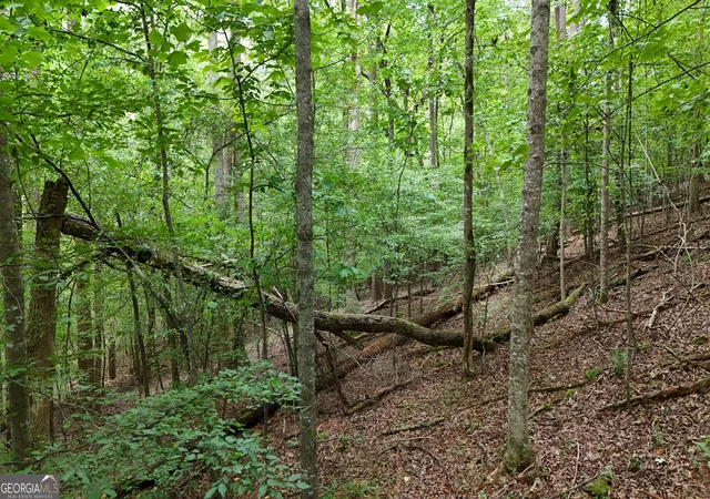 Land for sale at Lot 16 Morris Trl, Cleveland, GA 30528 | MLS# 10843148