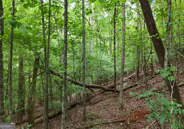 Photo 1 of Land for sale at Lot 16 Morris Trl, Cleveland, GA 30528 | MLS# 10843148 | Listing updated on 2026-09-10