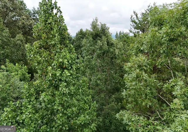 Photo 2 of Land for sale at Lot 16 Morris Trl, Cleveland, GA 30528 | MLS# 10843148 | Listing updated on 2026-09-10
