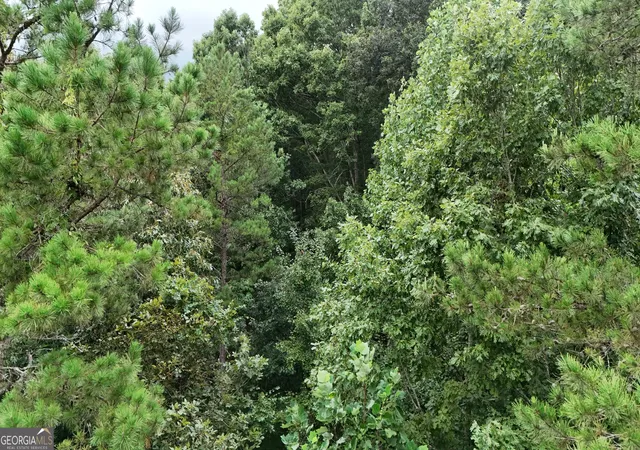 Photo 3 of Land for sale at Lot 16 Morris Trl, Cleveland, GA 30528 | MLS# 10843148 | Listing updated on 2026-09-10