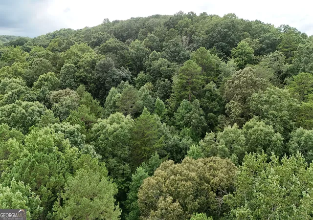 Photo 4 of Land for sale at Lot 16 Morris Trl, Cleveland, GA 30528 | MLS# 10843148 | Listing updated on 2026-09-10