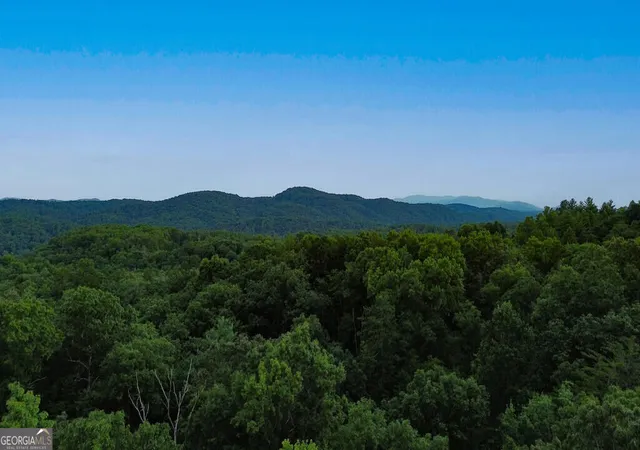 Photo 1 of Land for sale at Lot 6 Allaire Ln, Mineral Bluff, GA 30559 | MLS# 10841429 | Listing updated on 2026-09-21