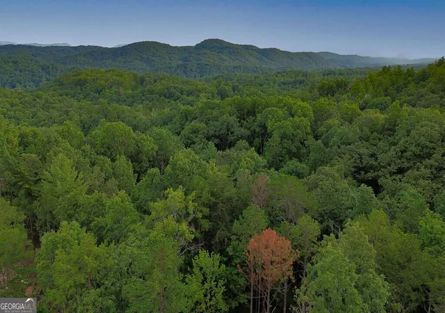 Photo 2 of Land for sale at Lot 6 Allaire Ln, Mineral Bluff, GA 30559 | MLS# 10841429 | Listing updated on 2026-09-21