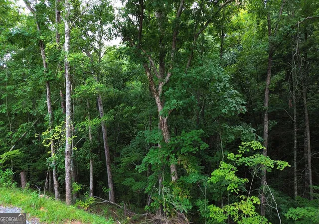 Photo 3 of Land for sale at Lot 6 Allaire Ln, Mineral Bluff, GA 30559 | MLS# 10841429 | Listing updated on 2026-09-21
